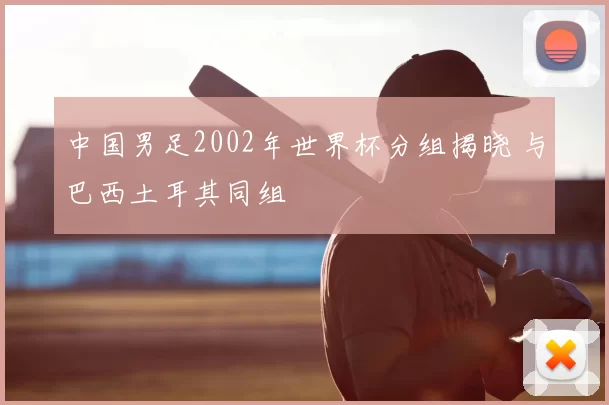 中国男足2002年世界杯分组揭晓 与巴西土耳其同组