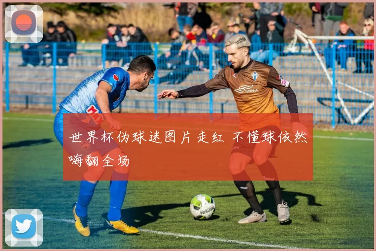 世界杯伪球迷图片走红 不懂球依然嗨翻全场