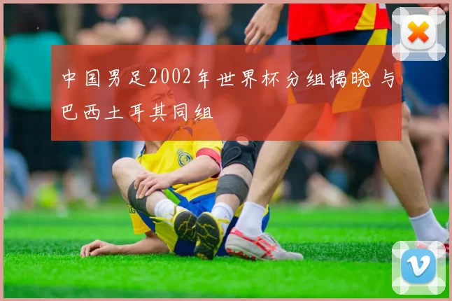 中国男足2002年世界杯分组揭晓 与巴西土耳其同组