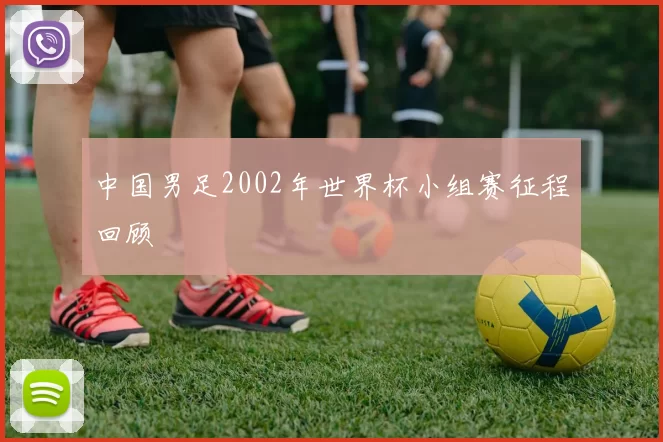 中国男足2002年世界杯小组赛征程回顾
