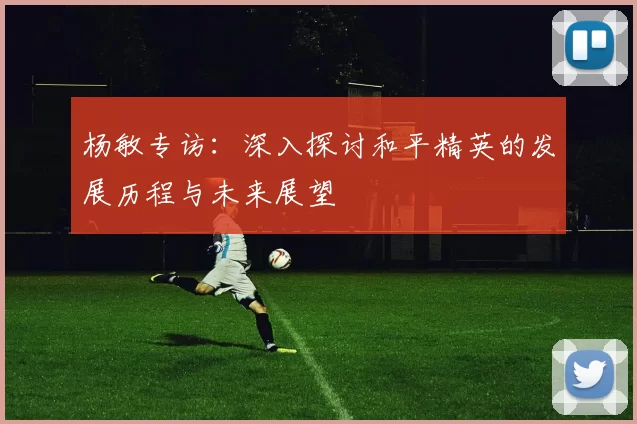 杨敏专访：深入探讨和平精英的发展历程与未来展望