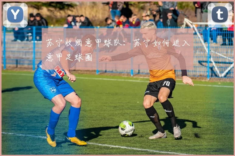 苏宁收购意甲球队:苏宁如何进入意甲足球圈