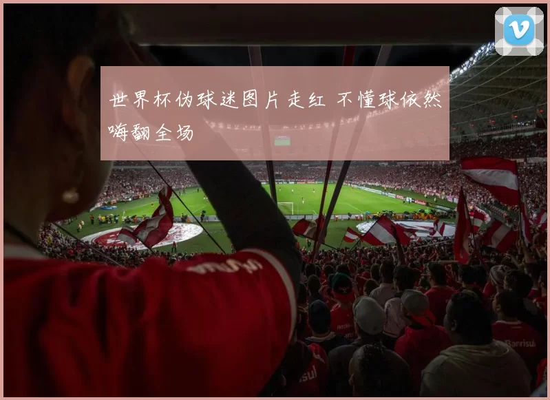 世界杯伪球迷图片走红 不懂球依然嗨翻全场
