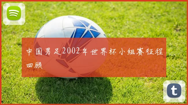 中国男足2002年世界杯小组赛征程回顾