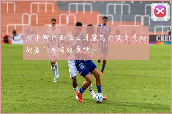 纽卡斯尔面临三月魔咒六场五负挑战豪门与宿敌桑德兰